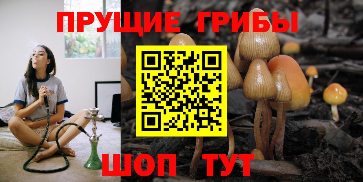 Псилоцибиновые грибы Psilocybine cubensis  Вход с VPN  Галлюциногенные грибы мухоморы  Большой Камень 